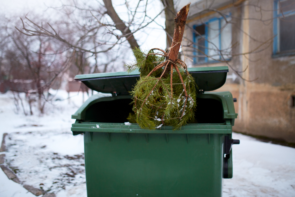 Skip bins in Melbourne