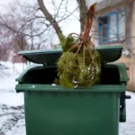 Why Skip Bins Are a Must for Holiday Cleanup in Melbourne and Beyond